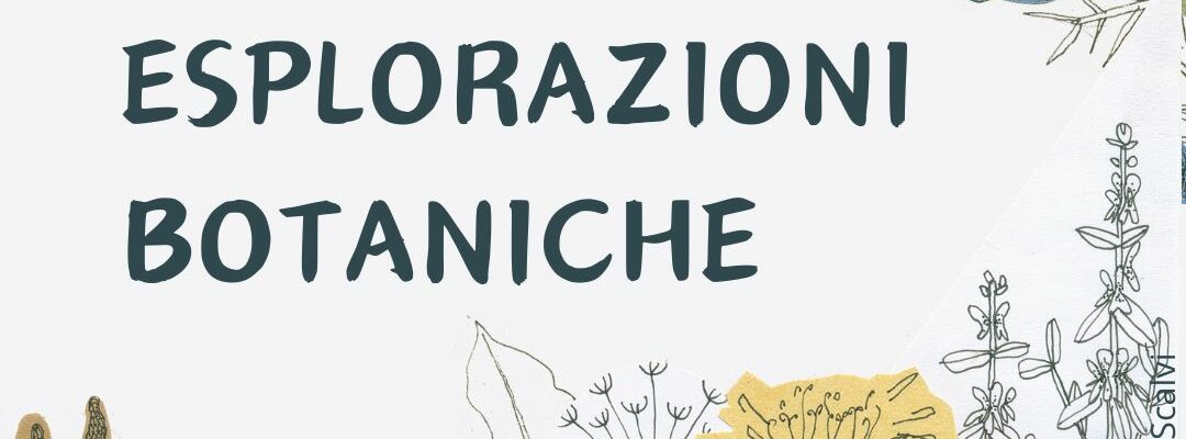 Esplorazioni botaniche: conoscere le erbe spontanee e i loro benefici