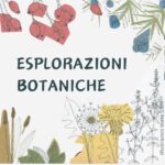 Esplorazioni botaniche: conoscere le erbe spontanee e i loro benefici